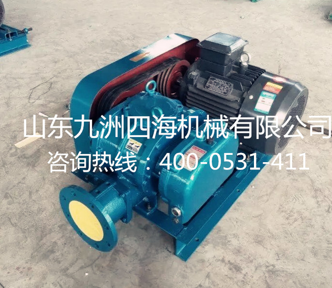 羅茨鼓風(fēng)機